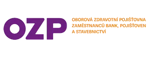 Partner 2