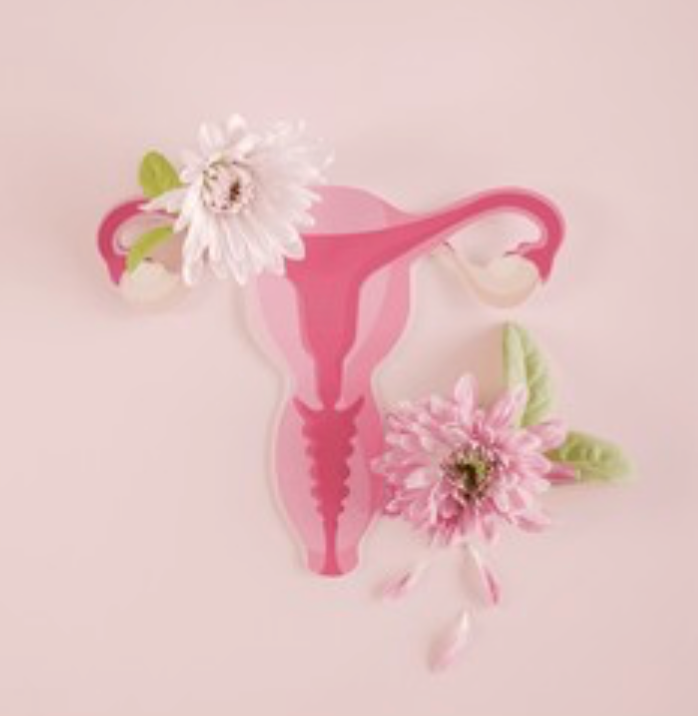 Gynecology 