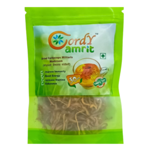 Cordyceps